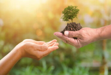 راه‌های ساده برای کمک به حفظ محیط زیست