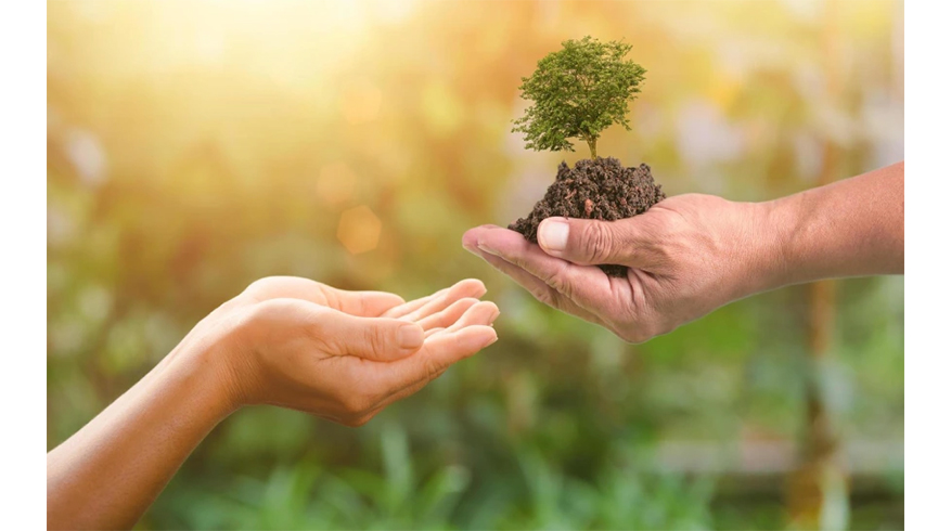 راه‌های ساده برای کمک به حفظ محیط زیست
