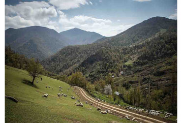 روستای خرجگیل
