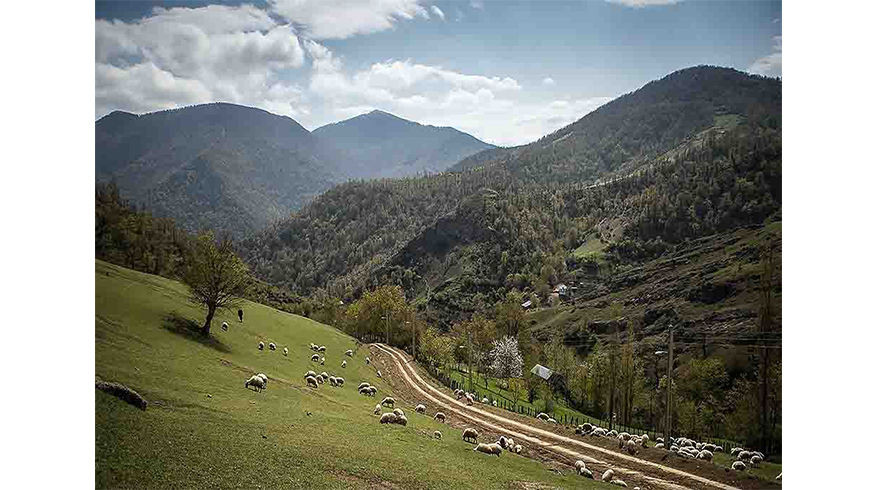 روستای خرجگیل