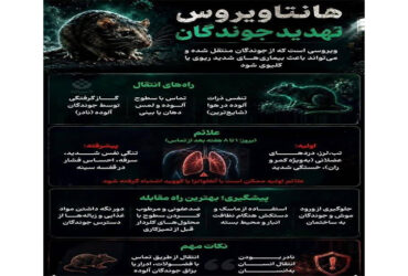 راه های انتقال ویروس مرگبار هانتاویروس و نحوه پیشگیری از آن