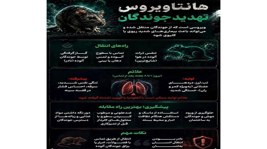 راه های انتقال ویروس مرگبار هانتاویروس و نحوه پیشگیری از آن